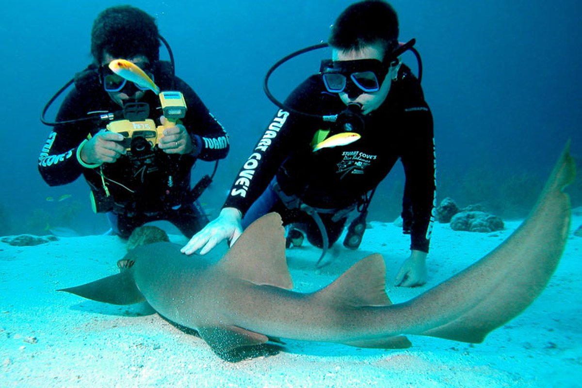 Buzos junto a un tiburón guiados por instructores en Nassau, Bahamas