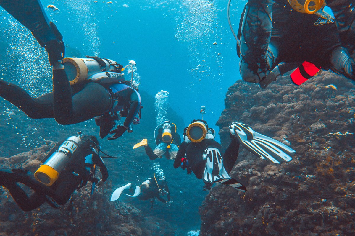 Grupo de buzos explorando un canal rocoso submarino