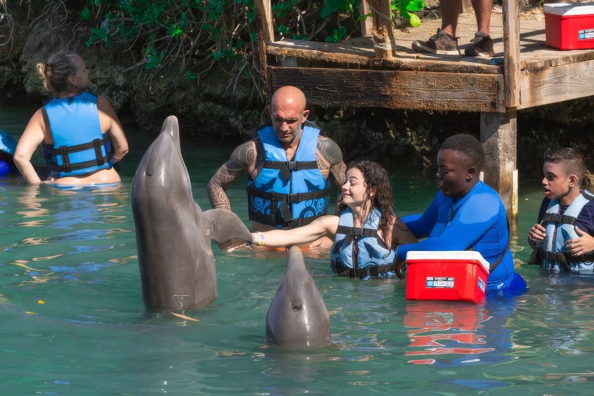 Interacción con delfines en un parque marino del Caribe