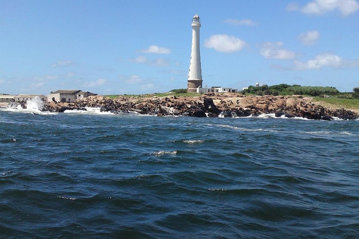 Faro y colonia de lobos marinos en Isla de Lobos, Punta del Este